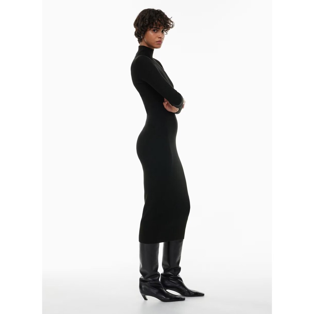 NWT Wilfred Aritzia Constance Midi Sweater Dress L